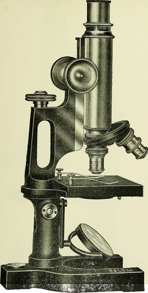 An illustration from The microscope; an introduction to the microscopic methods and to histology, 1911, leaf 104