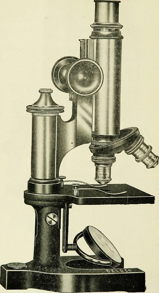 An illustration from The microscope; an introduction to the microscopic methods and to histology, 1911, leaf 105