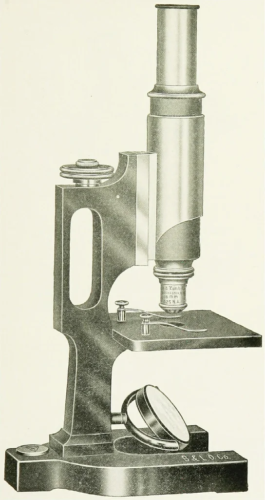 An illustration from The microscope; an introduction to the microscopic methods and to histology, 1911, leaf 106