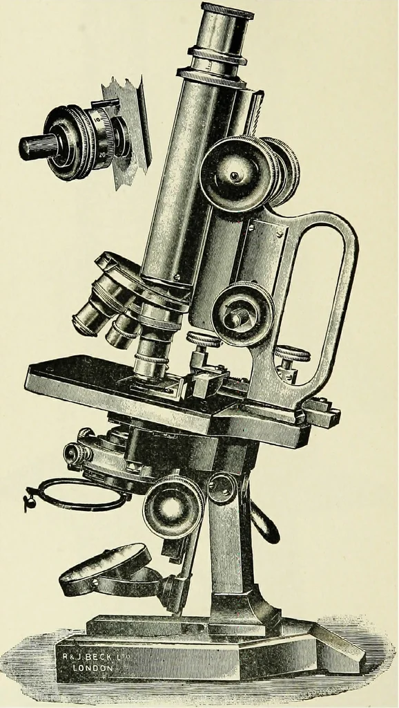 An illustration from The microscope; an introduction to the microscopic methods and to histology, 1911, leaf 107