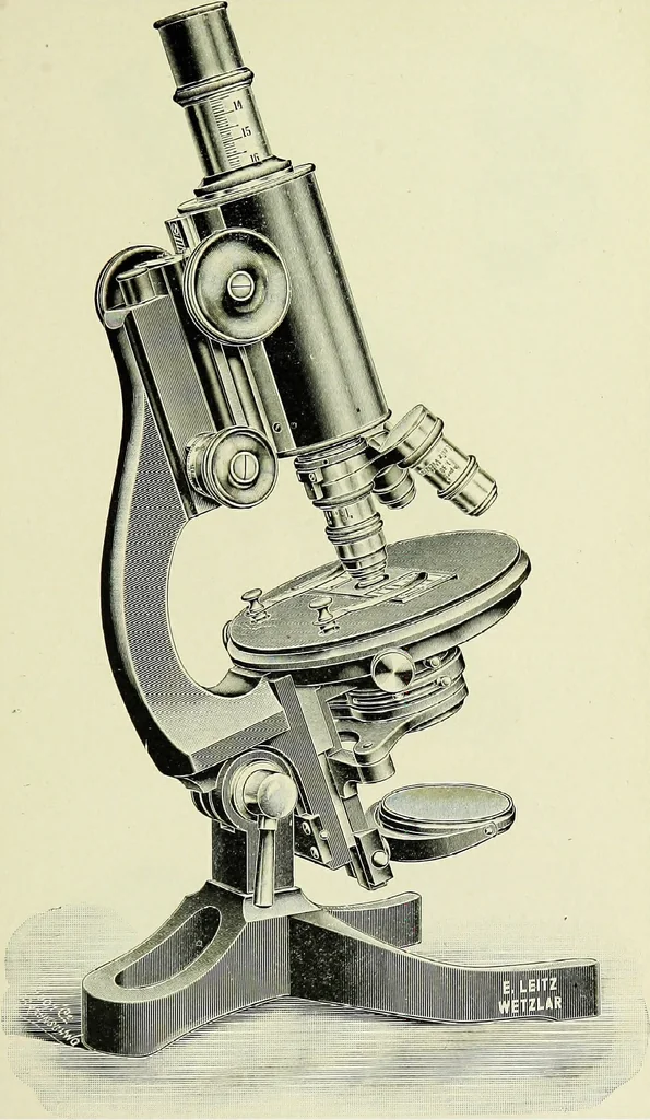 An illustration from The microscope; an introduction to the microscopic methods and to histology, 1911, leaf 108