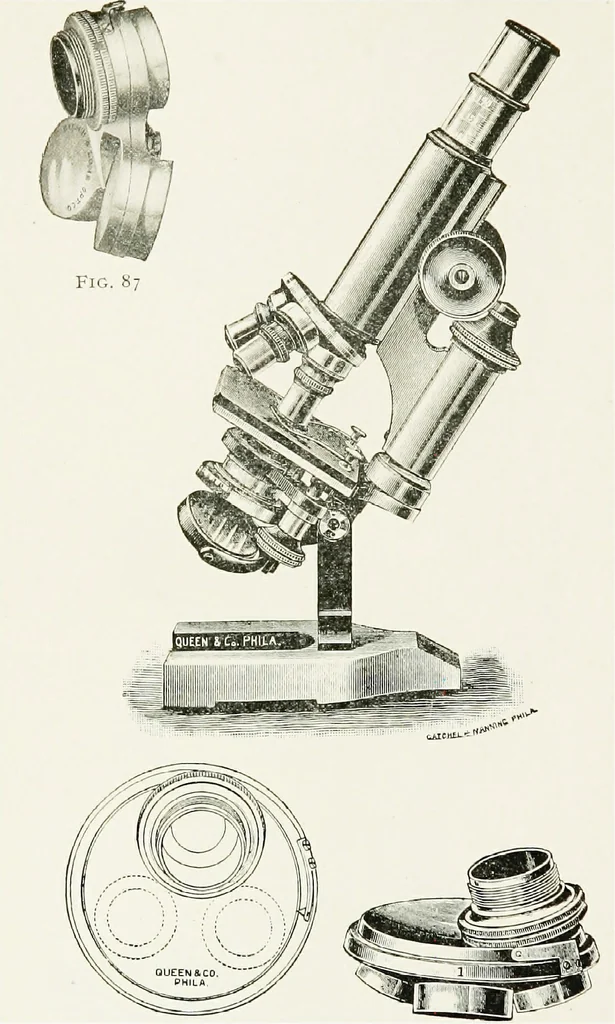An illustration from The microscope; an introduction to the microscopic methods and to histology, 1911, leaf 109