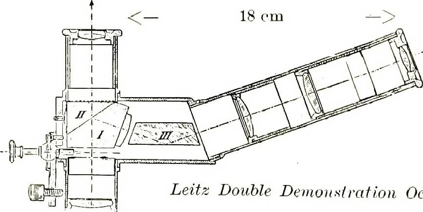 An illustration from The microscope; an introduction to the microscopic methods and to histology, 1911, leaf 11
