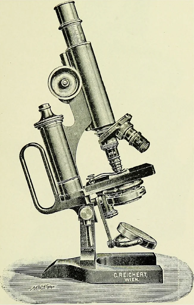 An illustration from The microscope; an introduction to the microscopic methods and to histology, 1911, leaf 110