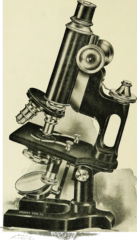 An illustration from The microscope; an introduction to the microscopic methods and to histology, 1911, leaf 113
