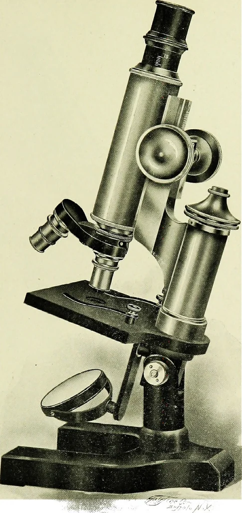 An illustration from The microscope; an introduction to the microscopic methods and to histology, 1911, leaf 114
