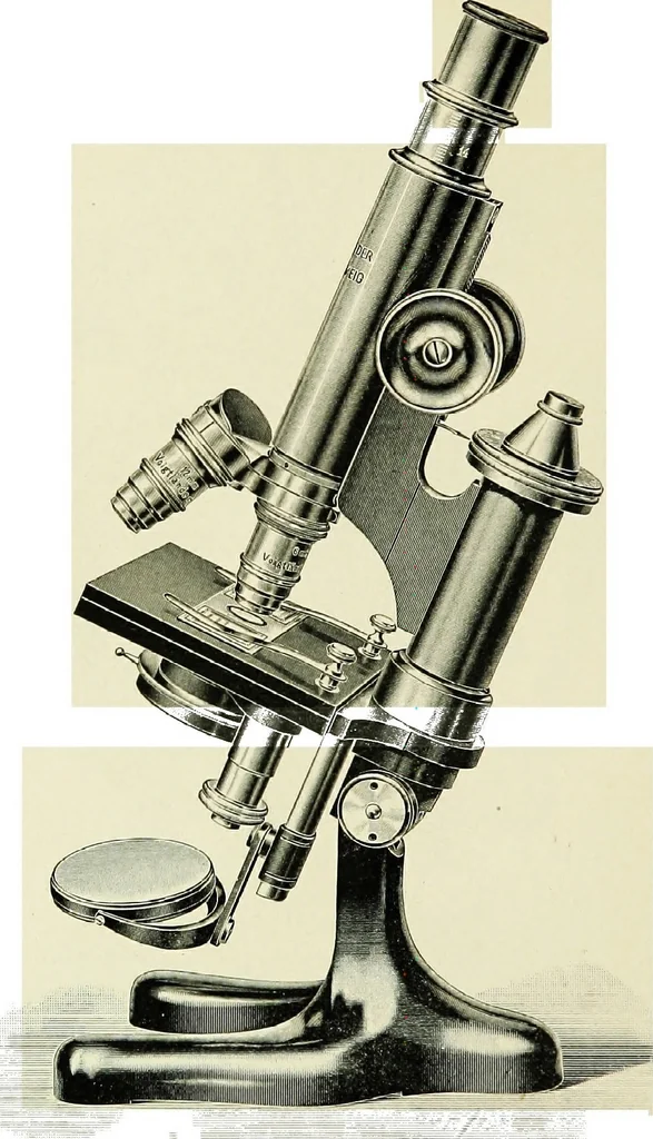 An illustration from The microscope; an introduction to the microscopic methods and to histology, 1911, leaf 115
