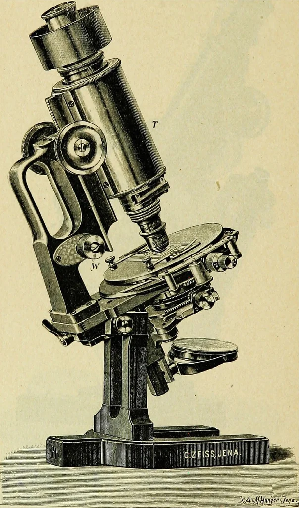 An illustration from The microscope; an introduction to the microscopic methods and to histology, 1911, leaf 117