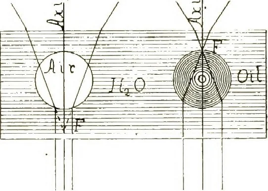 An illustration from The microscope; an introduction to the microscopic methods and to histology, 1911, leaf 125