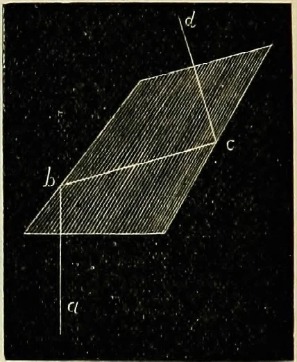 An illustration from The microscope; an introduction to the microscopic methods and to histology, 1911, leaf 133