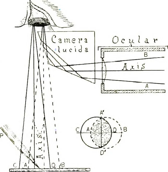 An illustration from The microscope; an introduction to the microscopic methods and to histology, 1911, leaf 140