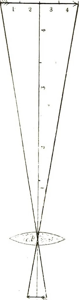 An illustration from The microscope; an introduction to the microscopic methods and to histology, 1911, leaf 141