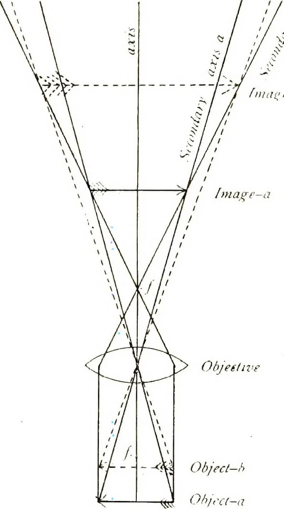 An illustration from The microscope; an introduction to the microscopic methods and to histology, 1911, leaf 141