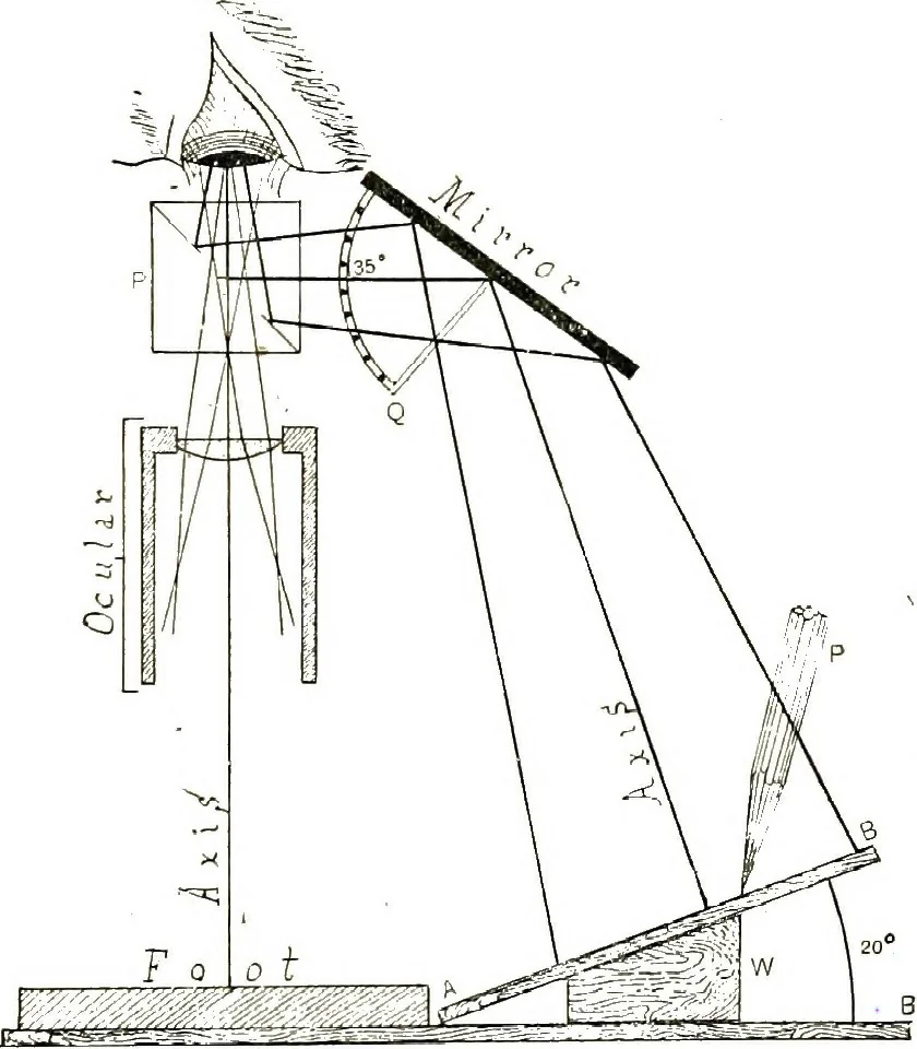 An illustration from The microscope; an introduction to the microscopic methods and to histology, 1911, leaf 144