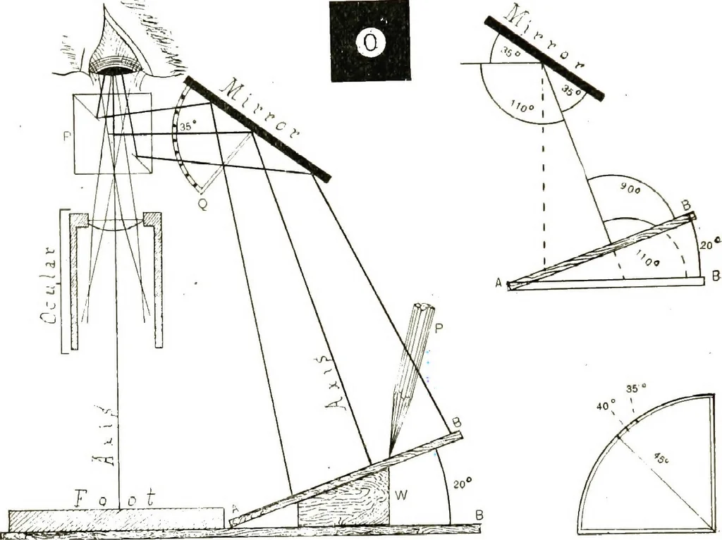 An illustration from The microscope; an introduction to the microscopic methods and to histology, 1911, leaf 167