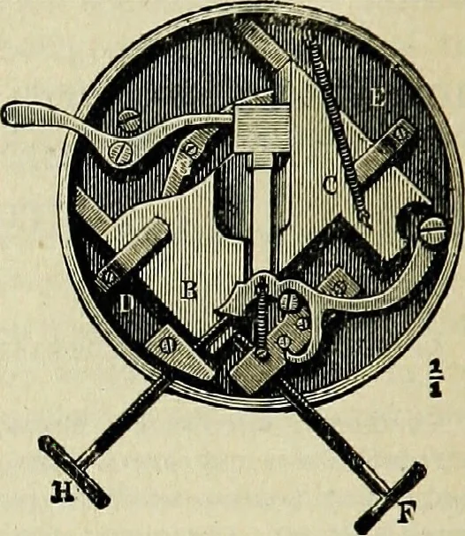 An illustration from The microscope; an introduction to the microscopic methods and to histology, 1911, leaf 175