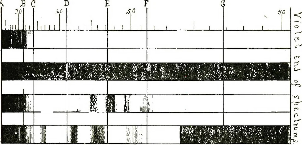 An illustration from The microscope; an introduction to the microscopic methods and to histology, 1911, leaf 176