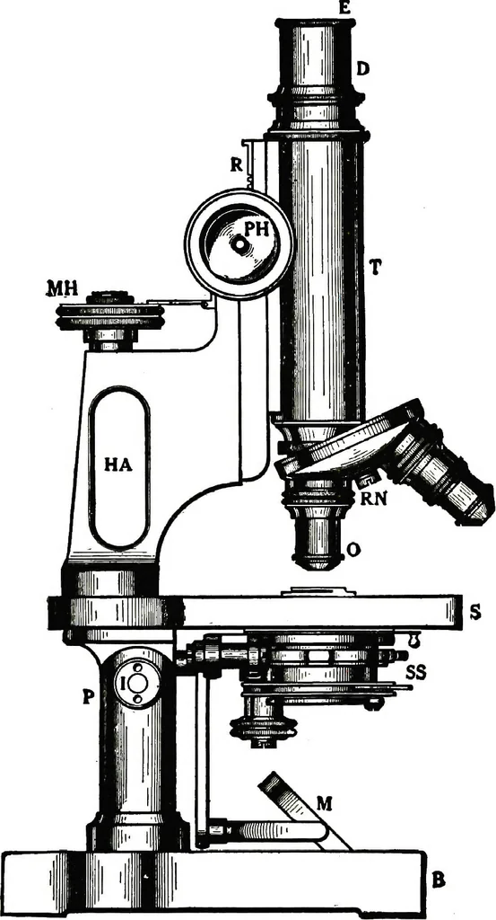 An illustration from The microscope; an introduction to the microscopic methods and to histology, 1911, leaf 18