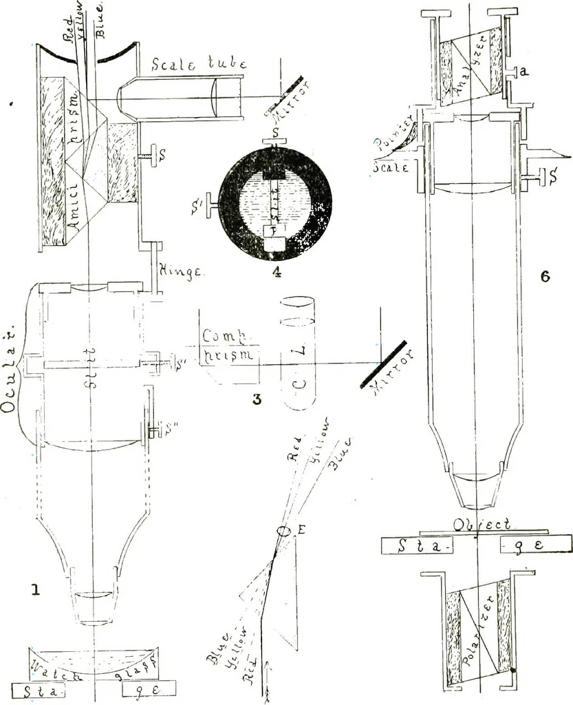An illustration from The microscope; an introduction to the microscopic methods and to histology, 1911, leaf 181