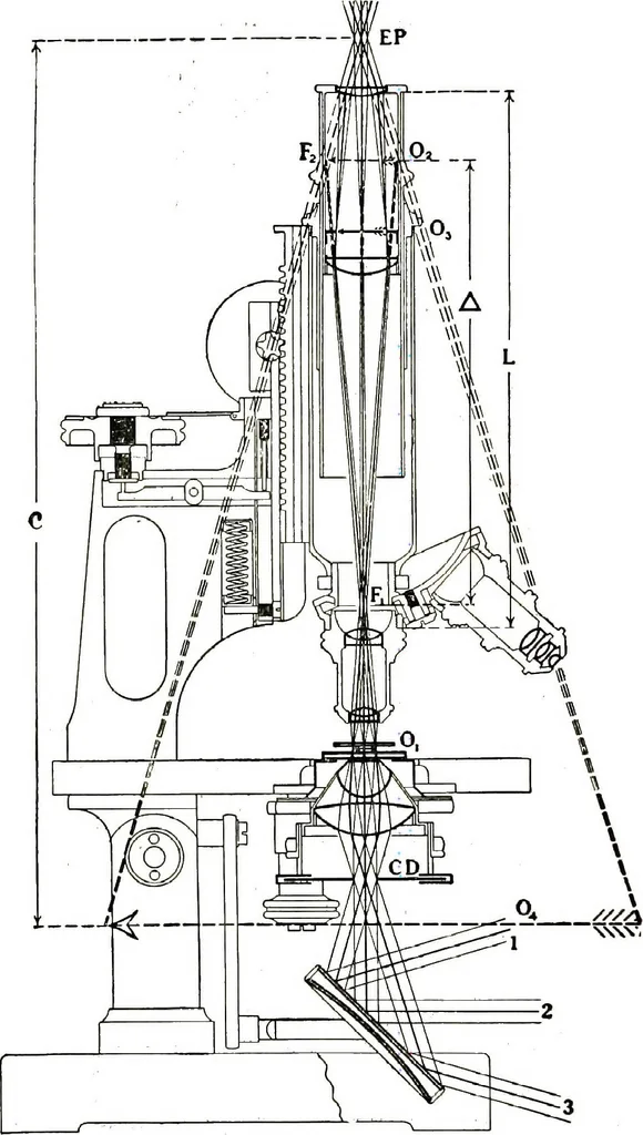 An illustration from The microscope; an introduction to the microscopic methods and to histology, 1911, leaf 19
