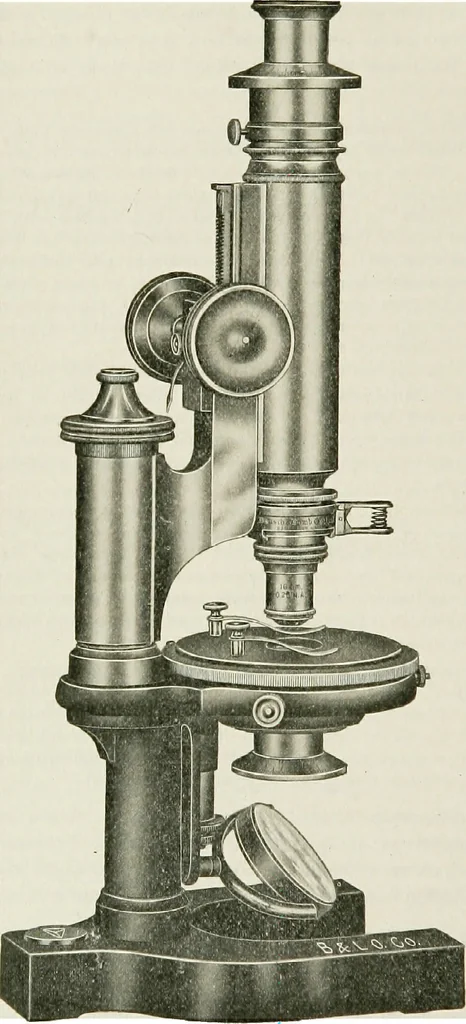 An illustration from The microscope; an introduction to the microscopic methods and to histology, 1911, leaf 197