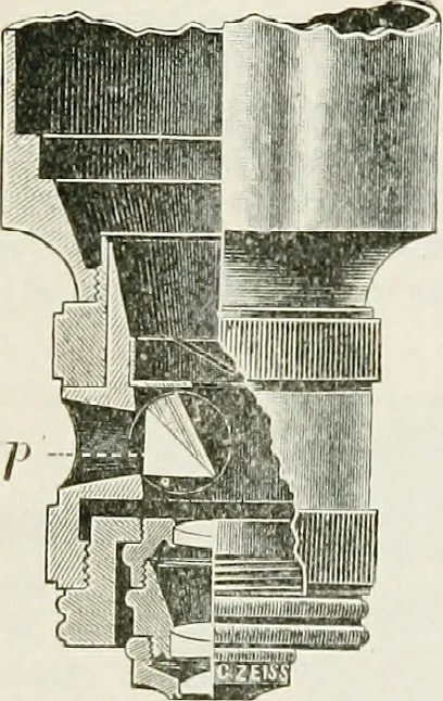 An illustration from The microscope; an introduction to the microscopic methods and to histology, 1911, leaf 203