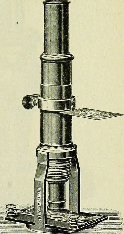 An illustration from The microscope; an introduction to the microscopic methods and to histology, 1911, leaf 212