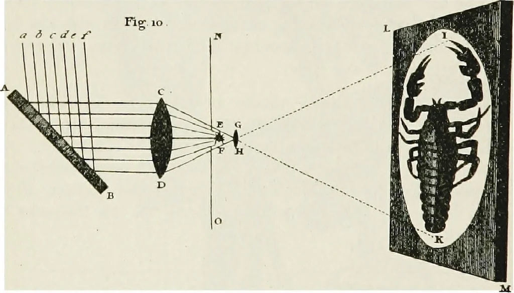 An illustration from The microscope; an introduction to the microscopic methods and to histology, 1911, leaf 219