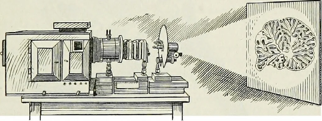 An illustration from The microscope; an introduction to the microscopic methods and to histology, 1911, leaf 220