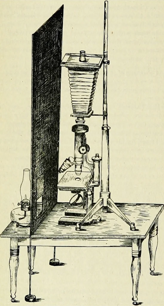 An illustration from The microscope; an introduction to the microscopic methods and to histology, 1911, leaf 241