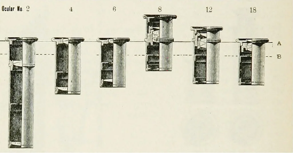 An illustration from The microscope; an introduction to the microscopic methods and to histology, 1911, leaf 243