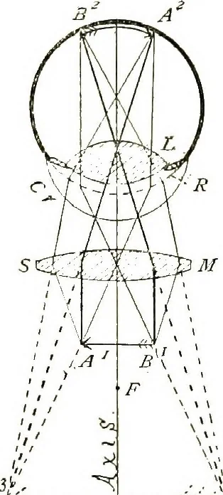 An illustration from The microscope; an introduction to the microscopic methods and to histology, 1911, leaf 26