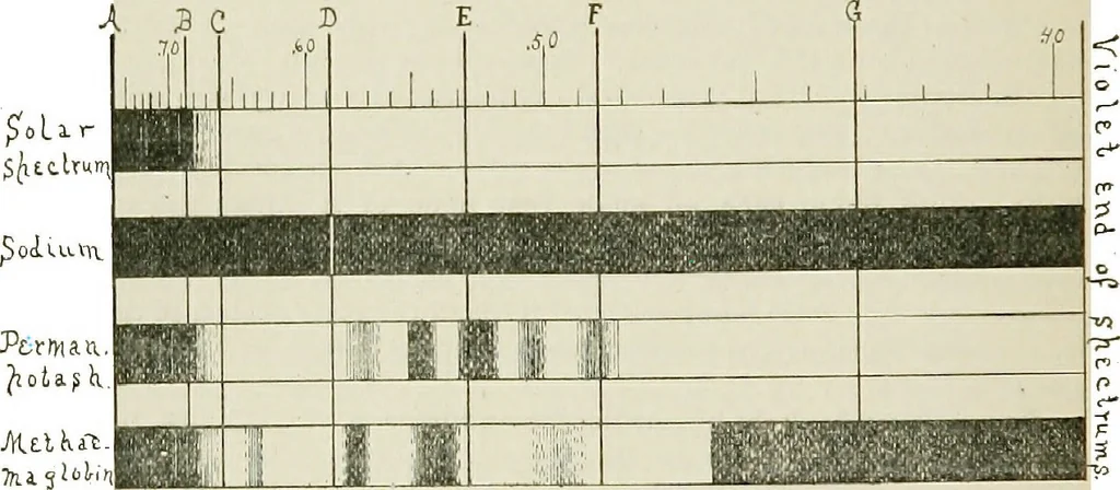 An illustration from The microscope; an introduction to the microscopic methods and to histology, 1911, leaf 263