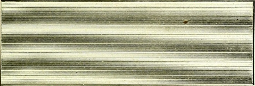 An illustration from The microscope; an introduction to the microscopic methods and to histology, 1911, leaf 264