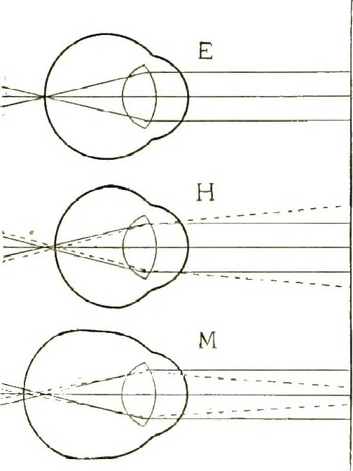An illustration from The microscope; an introduction to the microscopic methods and to histology, 1911, leaf 27