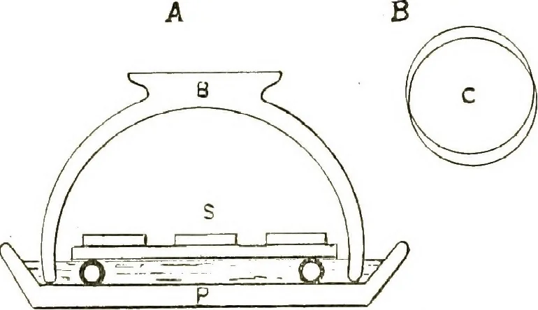 An illustration from The microscope; an introduction to the microscopic methods and to histology, 1911, leaf 275