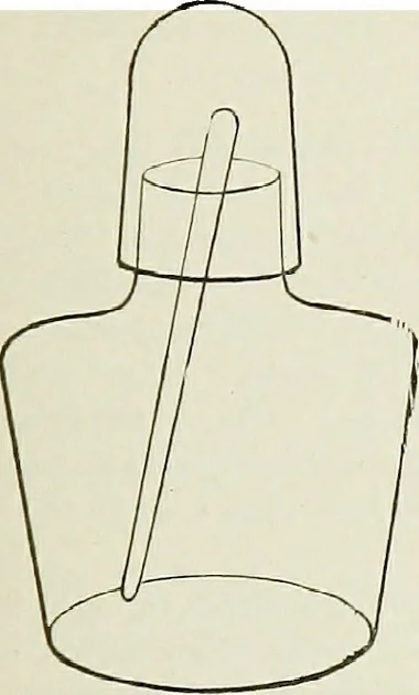 An illustration from The microscope; an introduction to the microscopic methods and to histology, 1911, leaf 276