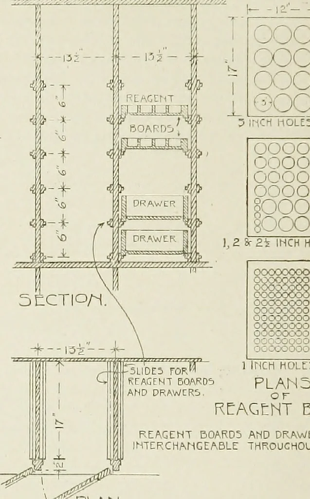 An illustration from The microscope; an introduction to the microscopic methods and to histology, 1911, leaf 287