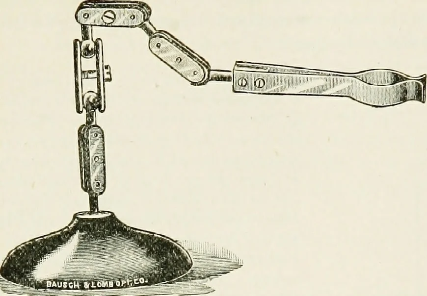 An illustration from The microscope; an introduction to the microscopic methods and to histology, 1911, leaf 29