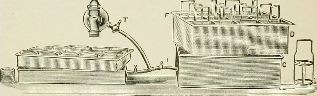 An illustration from The microscope; an introduction to the microscopic methods and to histology, 1911, leaf 305