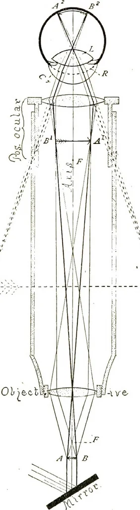 An illustration from The microscope; an introduction to the microscopic methods and to histology, 1911, leaf 31