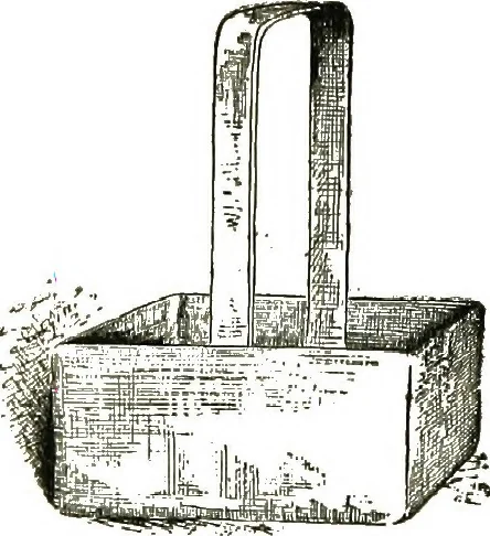 An illustration from The microscope; an introduction to the microscopic methods and to histology, 1911, leaf 311
