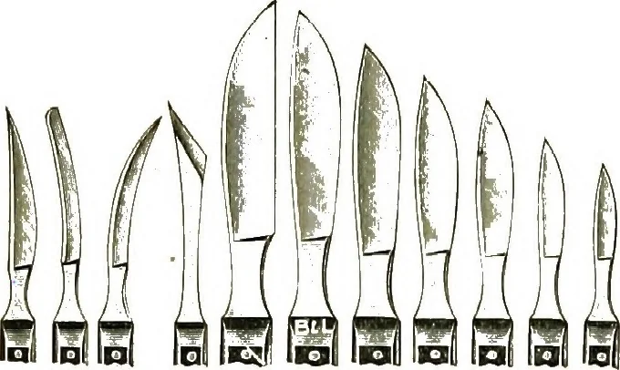 An illustration from The microscope; an introduction to the microscopic methods and to histology, 1911, leaf 313