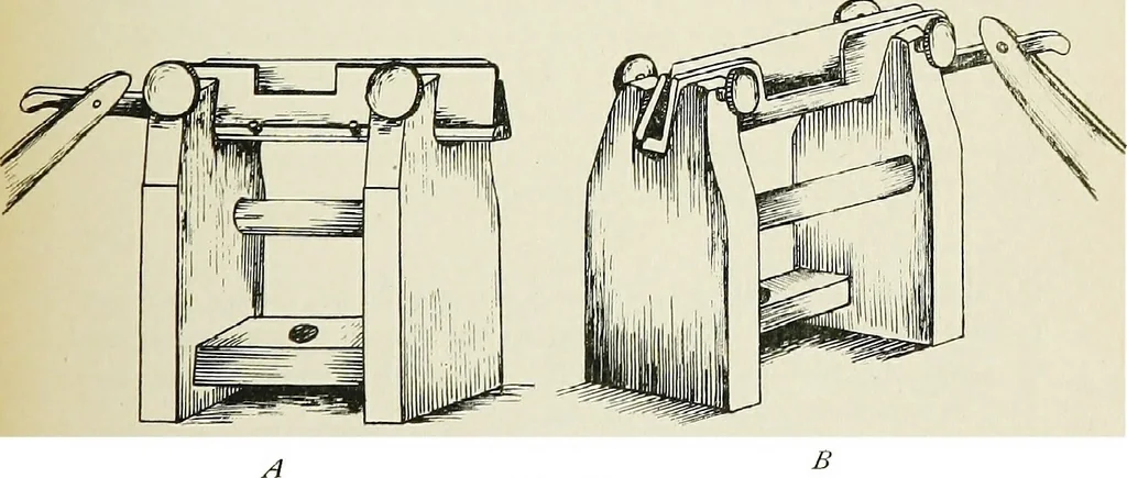 An illustration from The microscope; an introduction to the microscopic methods and to histology, 1911, leaf 318