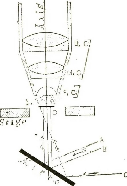 An illustration from The microscope; an introduction to the microscopic methods and to histology, 1911, leaf 33