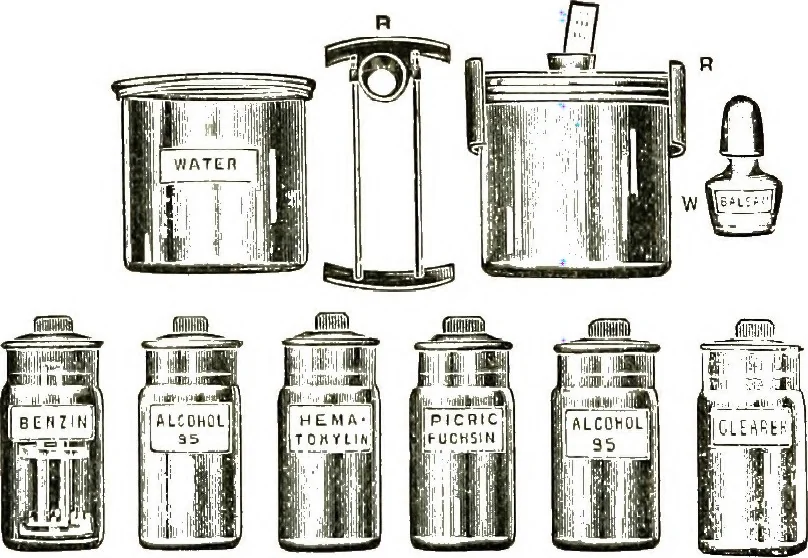 An illustration from The microscope; an introduction to the microscopic methods and to histology, 1911, leaf 331