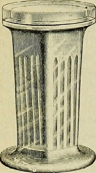 An illustration from The microscope; an introduction to the microscopic methods and to histology, 1911, leaf 333