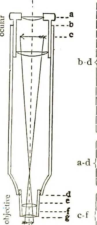 An illustration from The microscope; an introduction to the microscopic methods and to histology, 1911, leaf 37