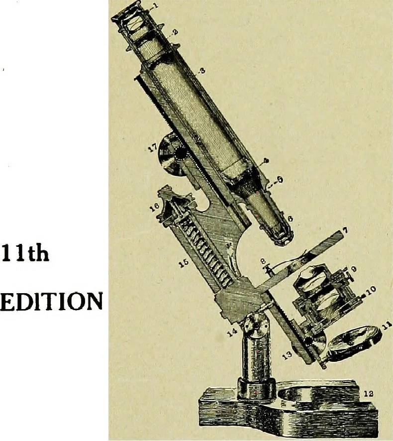 An illustration from The microscope; an introduction to the microscopic methods and to histology, 1911, leaf 4