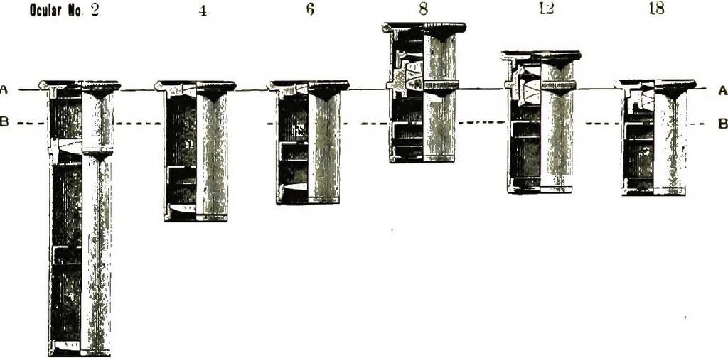 An illustration from The microscope; an introduction to the microscopic methods and to histology, 1911, leaf 47